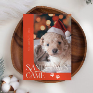 Santa Paws Came Dog Foto Weihnachten