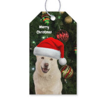 Santa Paws - Crystal the Husky Dog Personalisiert