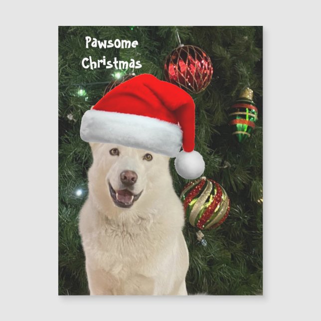 Santa Paws - Crystal the Husky Dog Weihnachten Magnetkarte (Vorderseite)