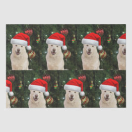 Santa Paws - Crystal the Husky Dog Weihnachten Seidenpapier