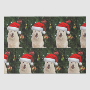 Santa Paws - Crystal the Husky Dog Weihnachten Seidenpapier