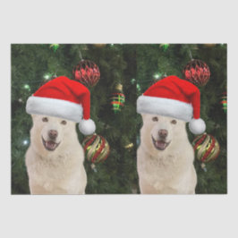 Santa Paws - Crystal the Husky Dog Weihnachten Seidenpapier