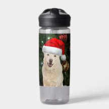 Santa Paws - Crystal the Husky Dog Weihnachten