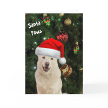 Santa Paws - Die glückliche Husky Grußkarte