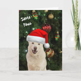 Santa Paws - Die glückliche Husky Grußkarte Karte