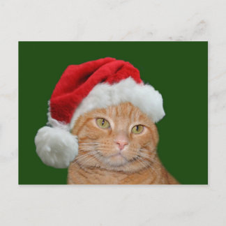 Santa Paws Feiertagspostkarte