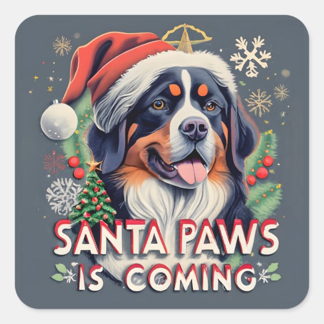 Santa Paws kommt Bernese Dog Weihnachten Quadratischer Aufkleber (Vorderseite)