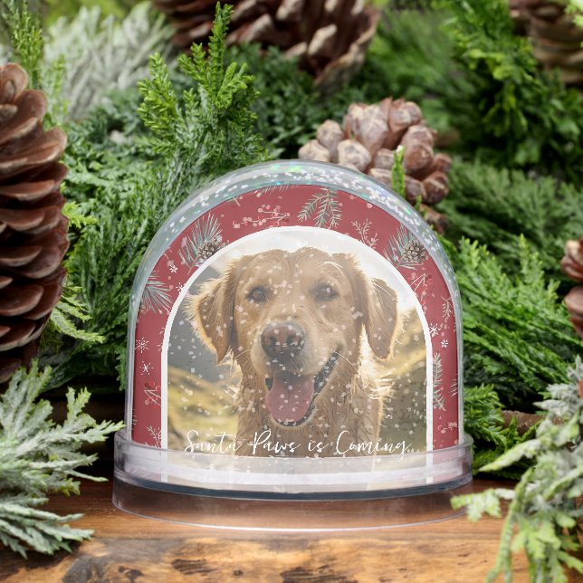 Santa Paws kommt | Foto für Haustiere Schneekugeln (Winter)