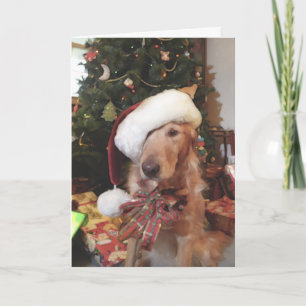Santa Paws Weihnachtskarte Feiertagskarte