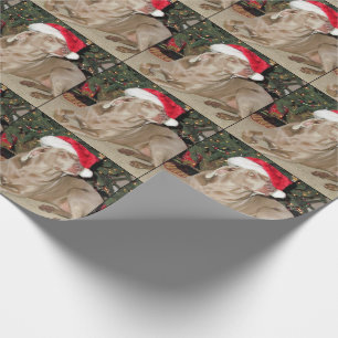 Santa Paws - Weimaraner Stil - Hunde Weihnachten Geschenkpapier