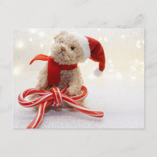 Santa Teddy Bear Postkarte (Vorderseite)