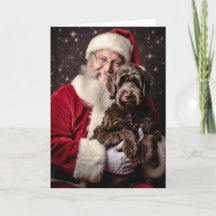 Santa und Labradoodle