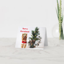 Santa Yorkie mit Weihnachtsbaum