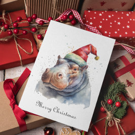 Santa's Little Hippo, Brauch