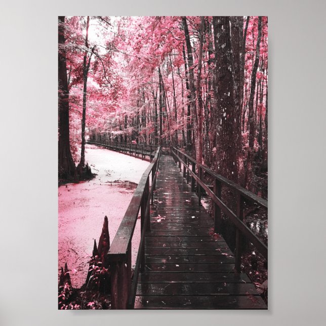 Santee-Sumpflandschaft Poster (Vorne)