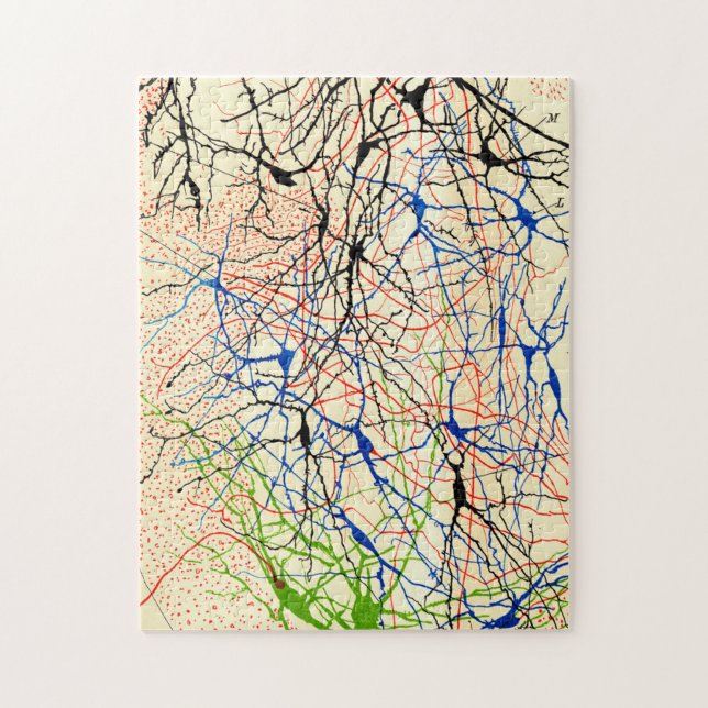 Santiago Ramón Y Cajal Nerve Cells (Vertikal)