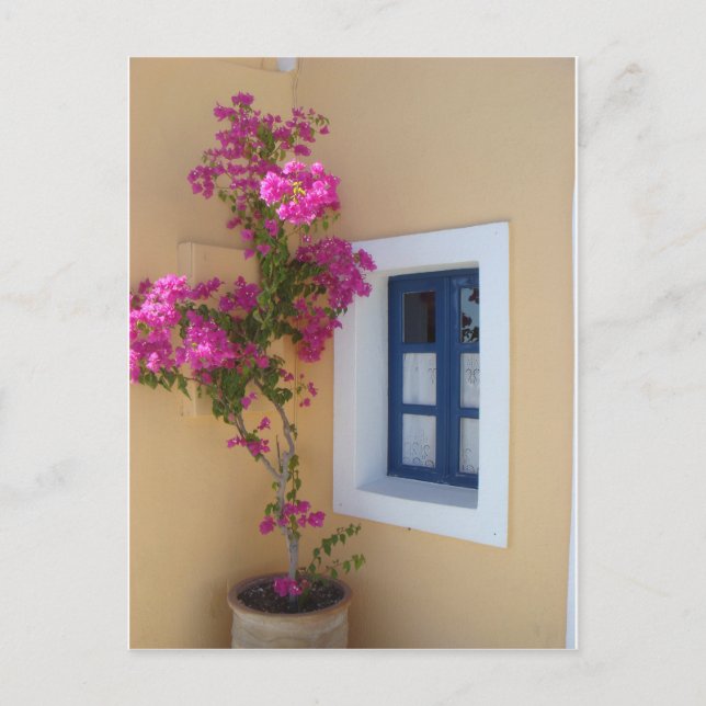 Santorini-Fenster Postkarte (Vorderseite)