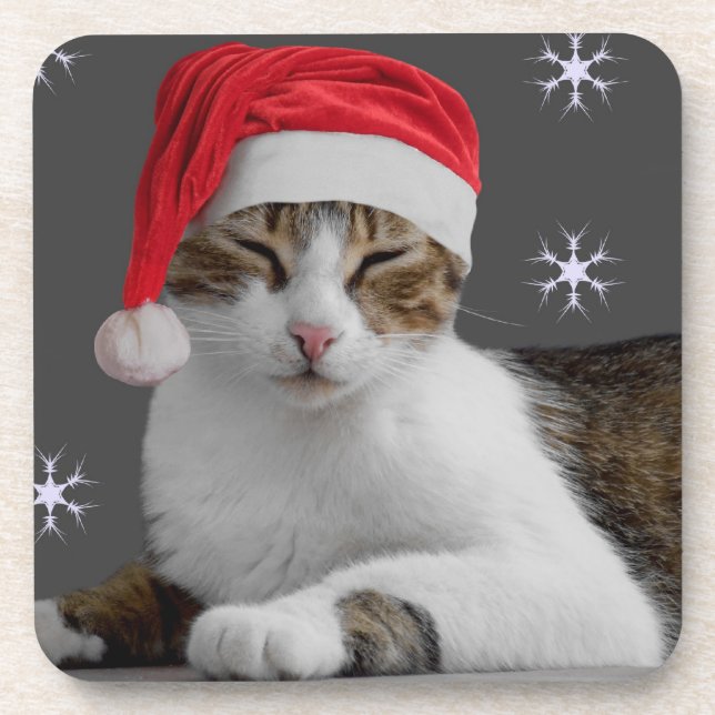 Sants Cat Weihnachts-Untersetzer Getränkeuntersetzer (Vorderseite)