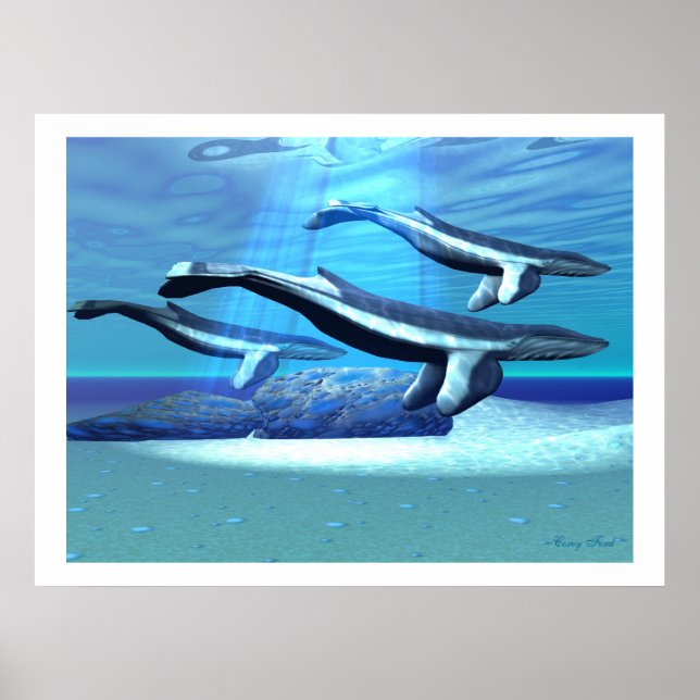 SANTUÄRELLER DRUCK FÜR BLAUWALE POSTER (Vorne)