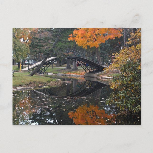SANY4603 Fall Foliage Postkarte (Vorderseite)