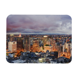 Sao Paulo Cityscape Magnet