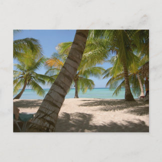 Saona Island République dominicaine carte postale