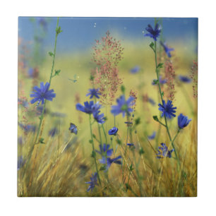 Saphir & Gold Dekorative Tile / Trivet Fliese