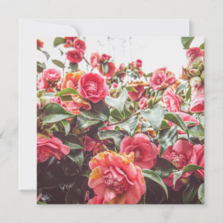 Saphir Or | Carte Carrée Plate avec Enveloppe