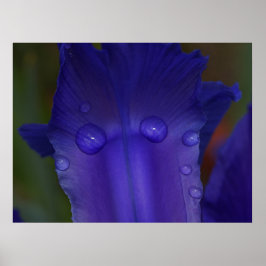 Saphir Serenity Poster