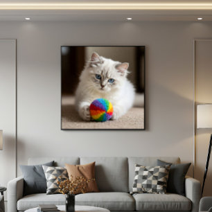 Saphire Eyes and Colorful Fun Poster