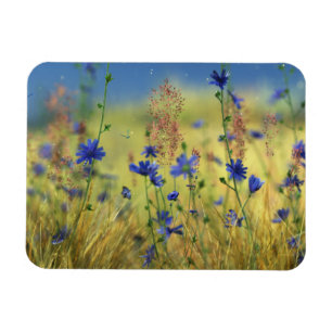 Saphire & Gold Flexible Magnet