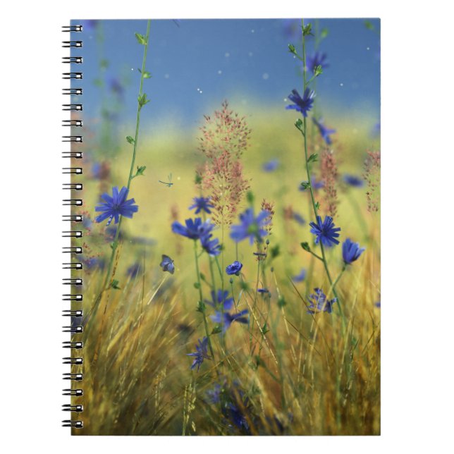 Saphire & Gold Notebook Notizblock (Vorderseite)