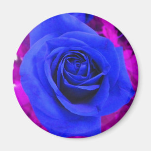 Sapphire Blue Rose Magnet