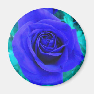 Sapphire Blue Rose Magnet