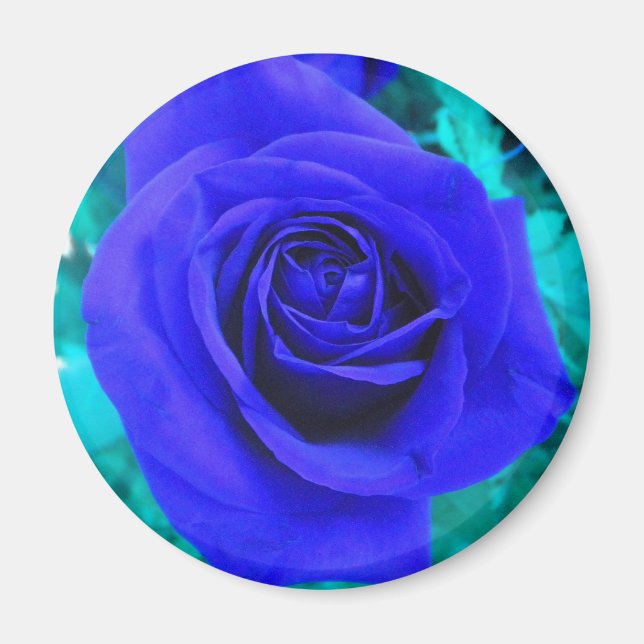 Sapphire Blue Rose Magnet (Vorne)