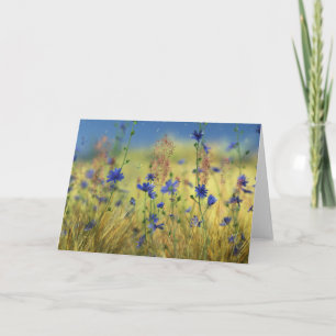 Sapphire & Gold Card Karte