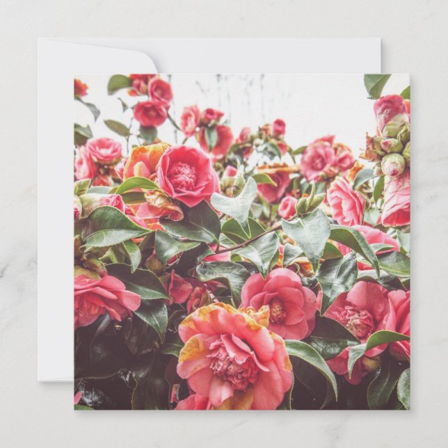 Sapphire Gold | Square Flat Card mit Umschlag (Vorderseite)