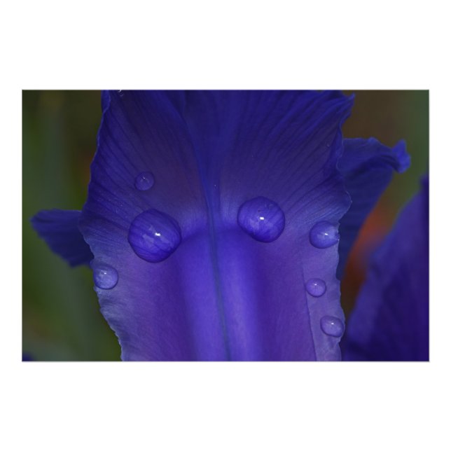 Sapphire Serenity  Fotodruck (Vorne)