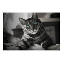 Sapphire Soul - Stiller Blick Fine Art Poster