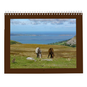 Sarah Woodburys Carneddau Ponies Kalender