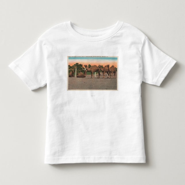 Sarasota, Florida - Kamele bei Ringling Bros Kleinkind T-shirt (Vorderseite)