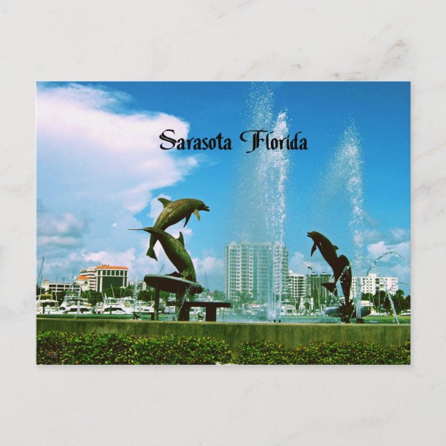 Sarasota Florida Postkarte (Vorderseite)