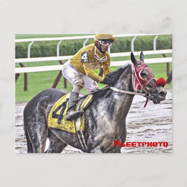 Saratoga 150 Art Fotos Postkarte (Vorderseite)