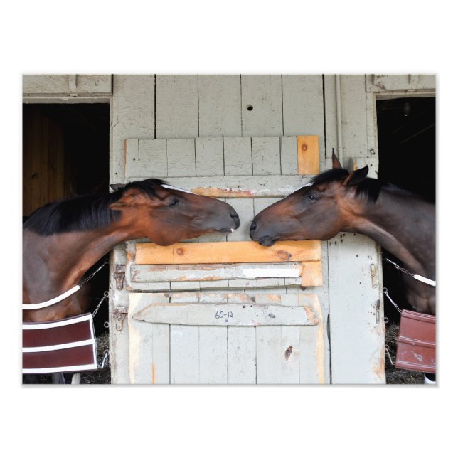 Saratoga-Liebe Fotodruck (Vorne)