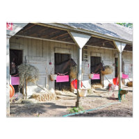 Saratoga Stables "Pferdehaven"