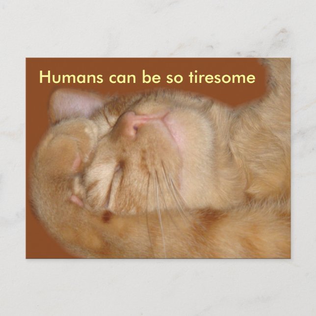 Sarcastic Cat - Menschen können so tiresom sein Postkarte (Vorderseite)