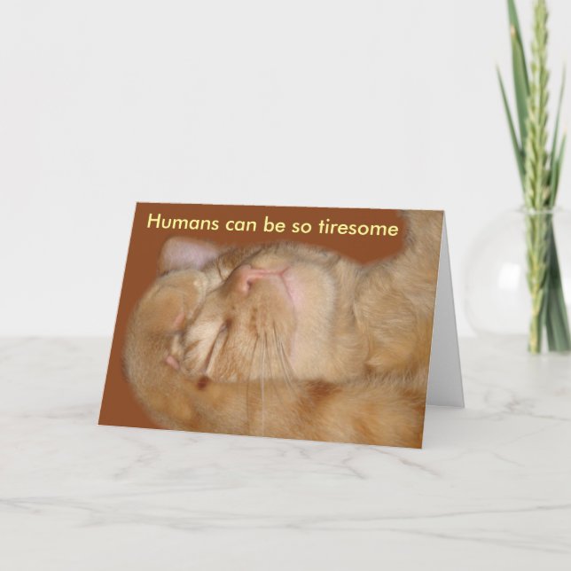Sarcastic Cat Valentine's Day Card Feiertagskarte (Vorderseite)