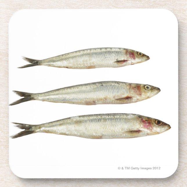 Sardinen (Pilchards) 2 Getränkeuntersetzer (Vorderseite)