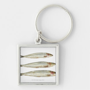 Sardinen (Pilchards) 2 Schlüsselanhänger