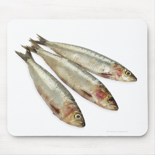 Sardinen (Pilchards) Mousepad (Vorne)